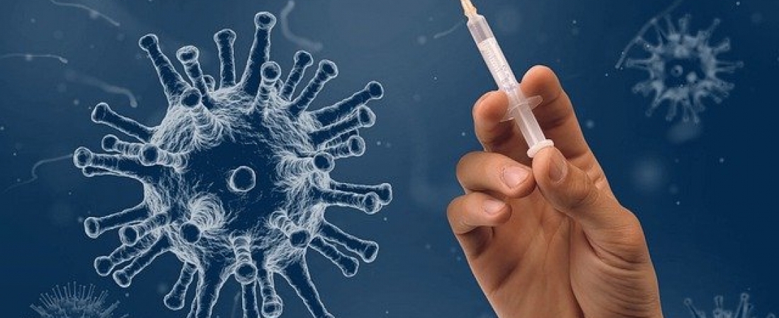 VAKSINASI ANAK USIA 6-11 TAHUN